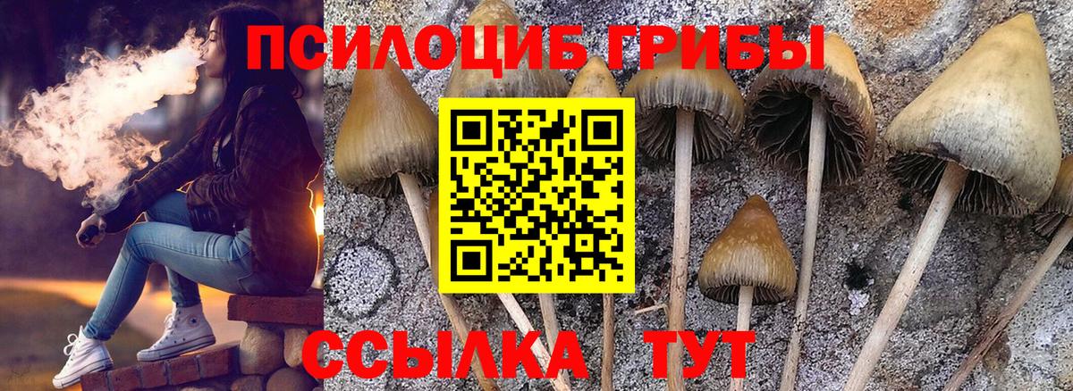 Галлюциногенные грибы прущие грибы  Вход с VPN  Карабулак 